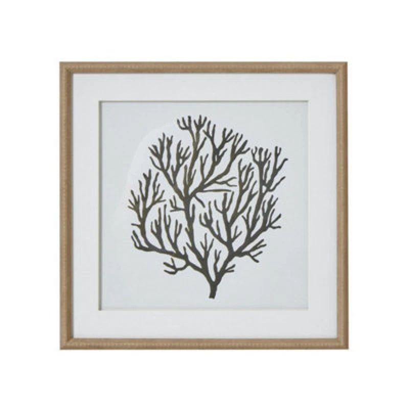 Image of Hill Interiors Atol Coral Art Mounted In Beaded Frame - Glass - L2 X W40 X H40 Cm - Brown