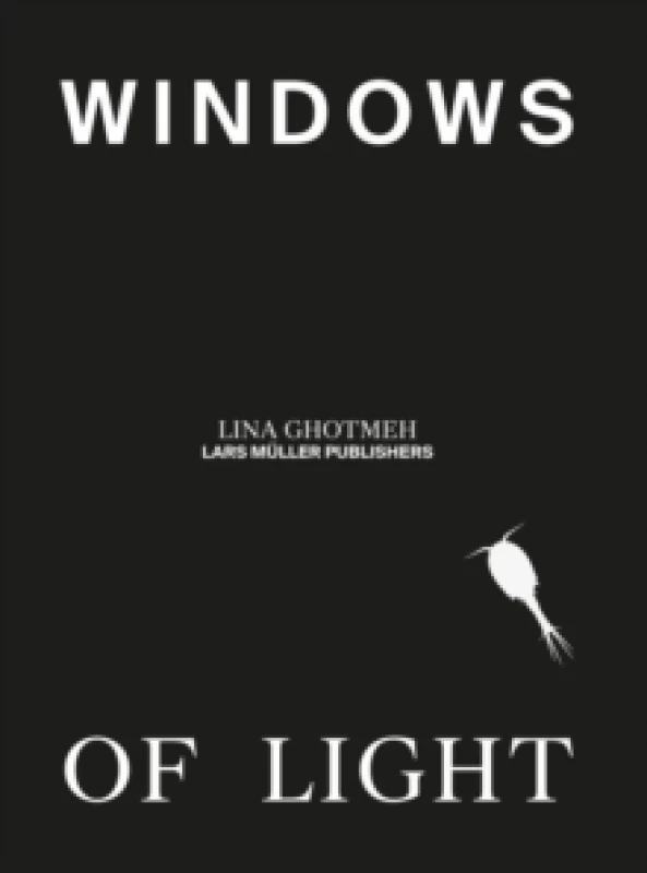 Image of Windows of Light Hardback