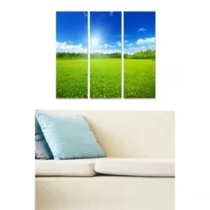 Image of MDF96902962 Multicolor Decorative MDF Painting (3 Pieces)