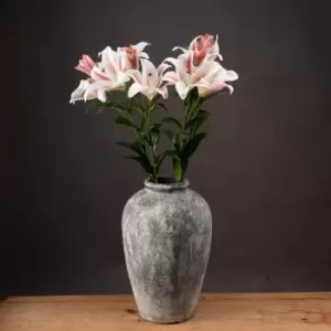 Image of Stargazer Lily