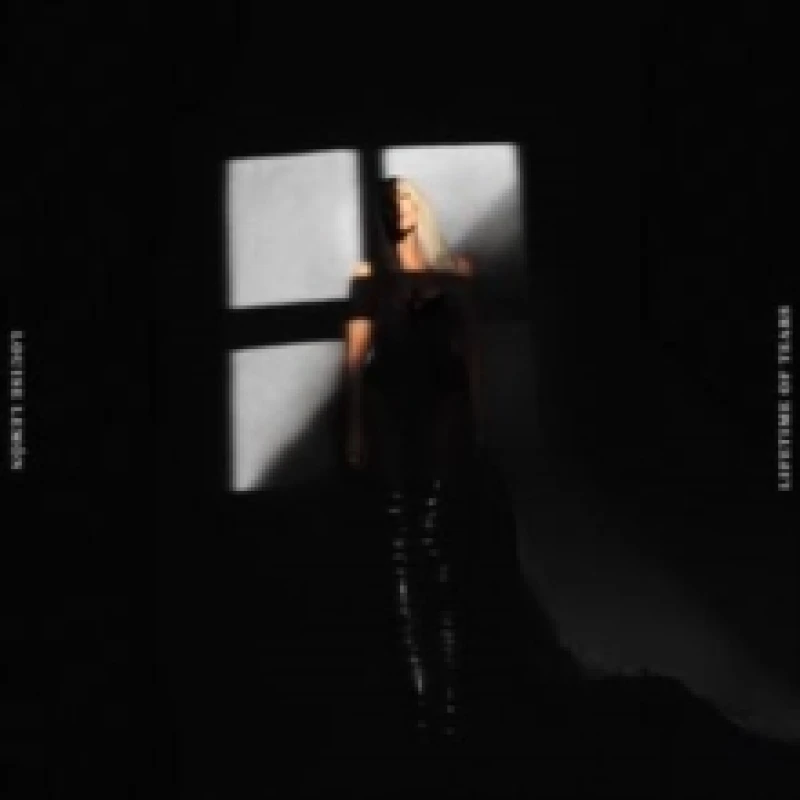 Image of Lifetime of Tears Vinyl