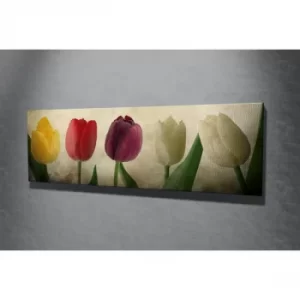 Image of PC147 Multicolor Decorative Canvas Painting