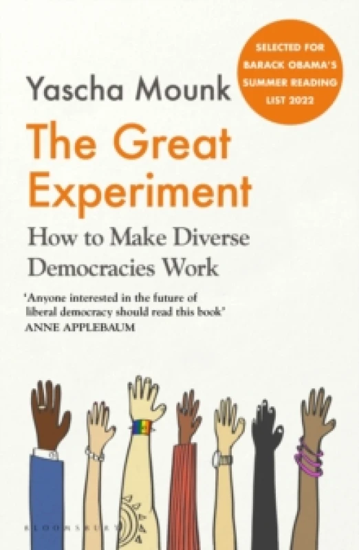 Image of The Great Experiment : How to Make Diverse Democracies Work Paperback / softback