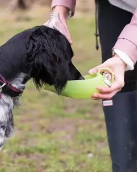 Image of Cotton Traders Pet Leaf Water Bottle in Green