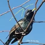 Image of Gradischnig - A Day In My Life (Music CD)