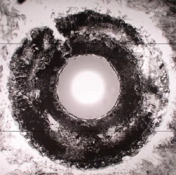 Image of Bastards Of Fate - Suck the Light Out Vinyl