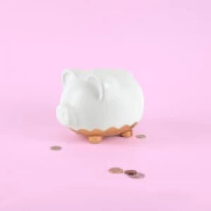Image of XL Rose Gold Piggy Bank