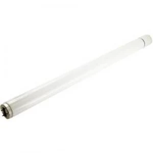Image of UV fluorescent tube Mo el UVA 802 Suitable for Mo el CriCri 308A CriCri 308E