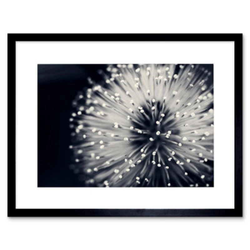 Image of Artery8 Floral Bloom Flower Black White Photo Home Decor 12X16" Framed Wall Art Print
