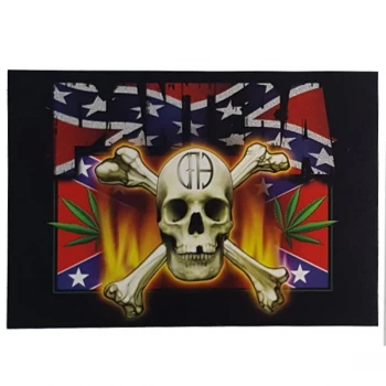 Image of Pantera - CFH Skull & Flag Postcard