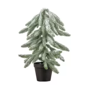 Image of Frosted Pine Tree in Pot 45cm Natural