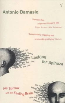 Image of Looking for Spinoza by Antonio Damasio Paperback
