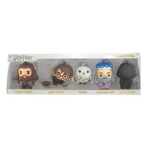 Image of Harry Potter Series 2 3D Collectable Keychain Gift Box B