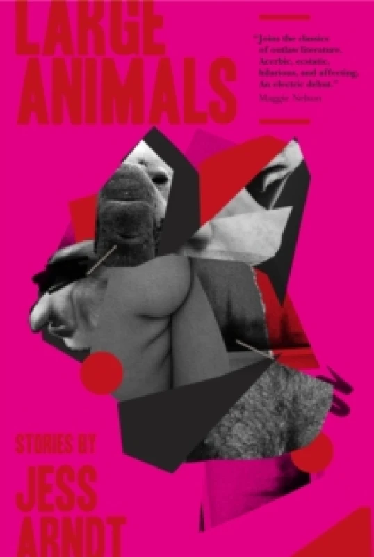 Image of Large Animals Paperback / softback