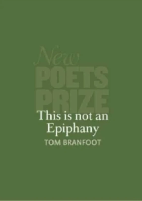 Image of This Is Not An Epiphany Paperback / softback