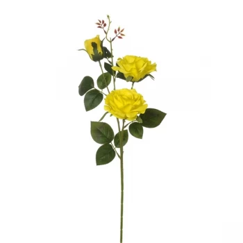 Image of Yellow Rose Spray Two Flowers