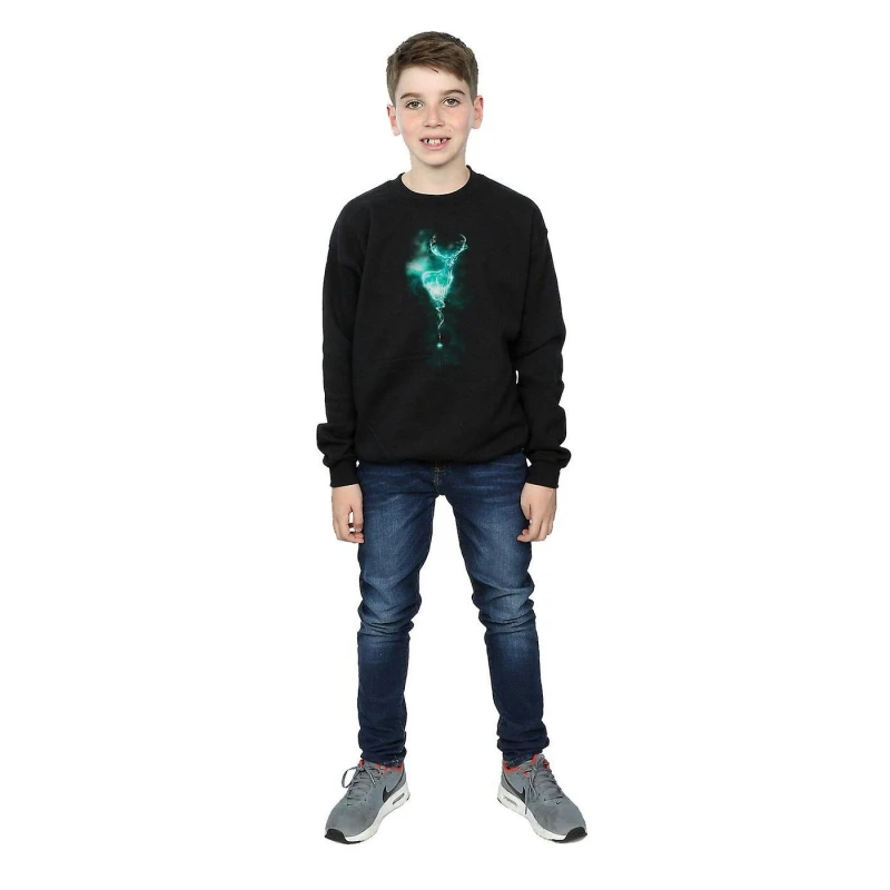 Image of Harry Potter Patronus Mist Stag Sweatshirt Black male