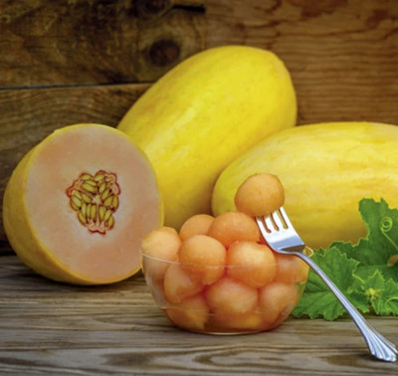 Image of Thompson & Morgan Melon Mangomel F1 1 Seed Packet