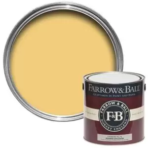 Image of Farrow & Ball Modern Citron No. 74 Matt Emulsion Paint, 2.5L