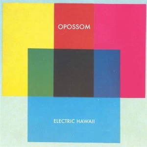 Image of Opossom - Electric Hawaii Vinyl