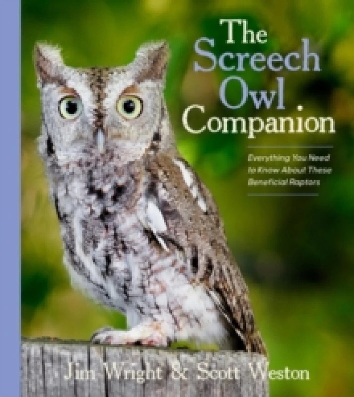 Image of The Screech Owl Companion : Everything You Need to Know about These Beneficial Raptors Paperback / softback