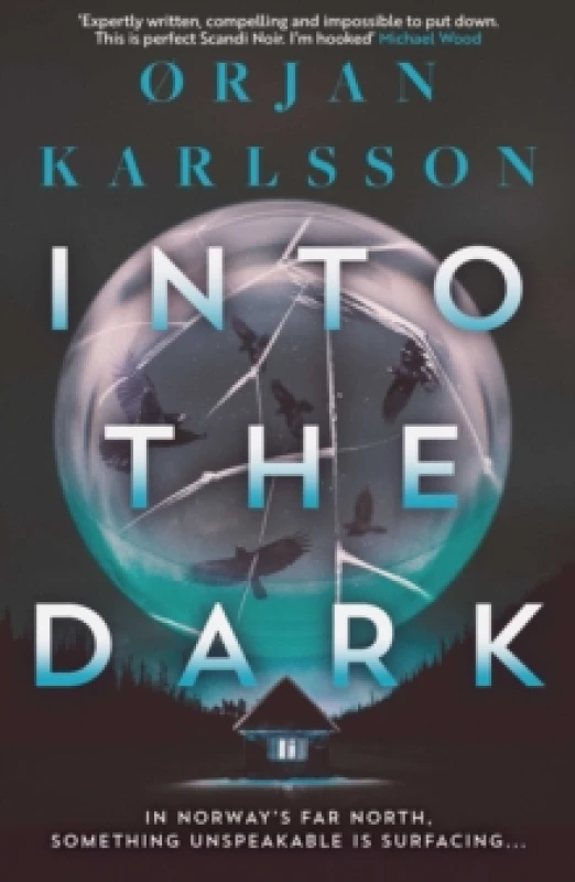 Image of Into The Dark : The dark, twisty new instalment in the chilling Arctic Mysteries series Volume 2 Paperback / softback