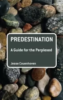 Image of Predestination: A Guide for the Perplexed
