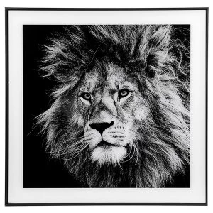 Image of Decor Picture Square Large Lion