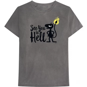 Image of Disenchantment - See You In Hell Unisex Small T-Shirt - Grey