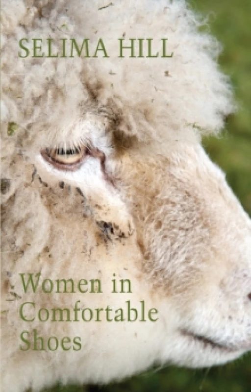 Image of Women in Comfortable Shoes Paperback / softback