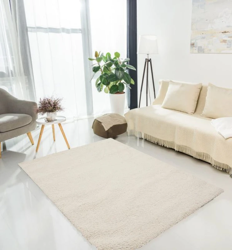 Image of Rugstyle Super Comfy Teddy Rug Plain Ivory in Natural Size: 120cm x 160cm Natural Unisex 120cm x 160 cm