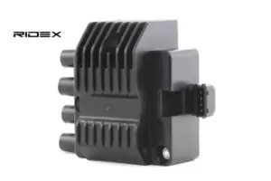 Image of RIDEX Ignition coil 689C0149 Coil pack,Ignition coil pack VW,OPEL,RENAULT,Polo Schragheck (86C, 80),Meriva A (X03),Zafira A (T98),Astra G CC (T98)