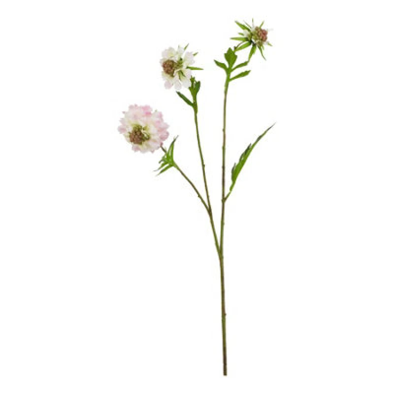 Image of Love Lace Pale Pink Scabious Stem Artificial Flower Pink