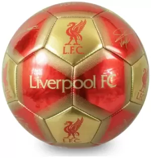 Image of Hy-Pro Liverpool FC Size 5 Signature Football