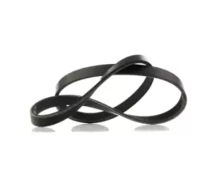 Image of RIDEX V-ribbed belt VW,AUDI,BMW 305P0014 050903137B,050903137C,058260849 Serpentine belt,Auxiliary belt,Poly V-belt,Ribbed belt,Multi V-belt,Poly belt