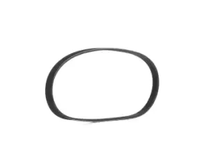 Image of RIDEX V-ribbed belt FIAT,TOYOTA,HONDA 305P0009 11282245179,25183062,96444475 25183062,96444475,9004831012,9004831012000,9004831013,9004831013000