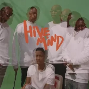 Image of Hive Mind by The Internet Vinyl Album