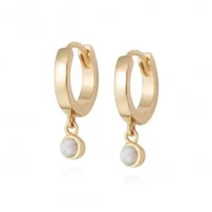 Image of Howlite Healing Huggie Hoops 18ct Gold Plate Earrings HE3006_GP