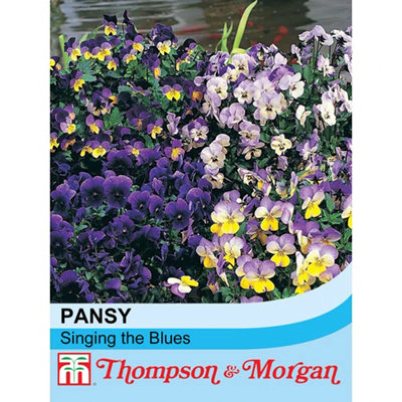 Image of Thompson & Morgan Viola Singing The Blues 1 Seed Packet (25 Seeds)