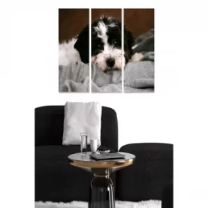 Image of MDF3790078 Multicolor Decorative MDF Painting (3 Pieces)