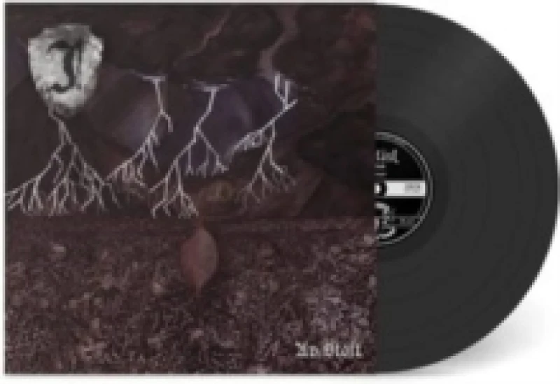 Image of Av Stoft Vinyl