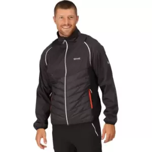 Image of Regatta Mens Steren Hybrid Padded Softshell Jacket S - Chest 37-38' (94-96.5cm)