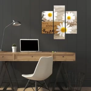 Image of 3MDF-060 Multicolor Decorative MDF Painting (3 Pieces)