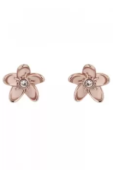 Image of Ted Baker Ladies Jewellery BEAAUU Earrings TBJ3293-24-03