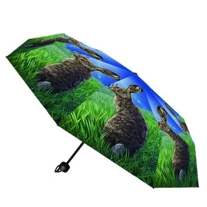 Image of Solstice Umbrella