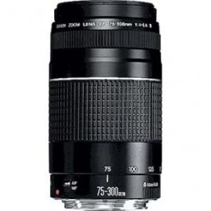 Image of EF 75-300mm f/4.0-5.6 non USM mk III