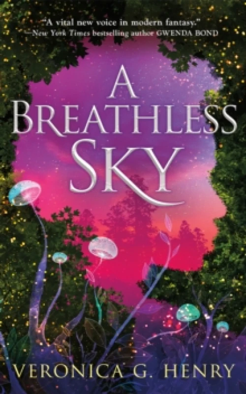 Image of A Breathless Sky Paperback / softback