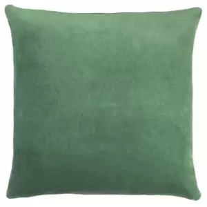 Image of Solo Velvet Cushion Eucalyptus, Eucalyptus / 45 x 45cm / Polyester Filled