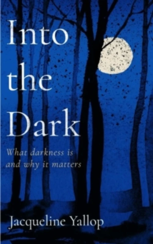 Image of Into the Dark : What darkness is and why it matters Paperback / softback