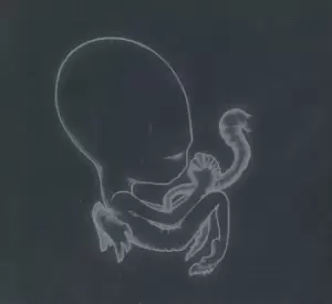 Image of Sigur Ros Agaetis Byrjun 2000 UK CD album FATCD11